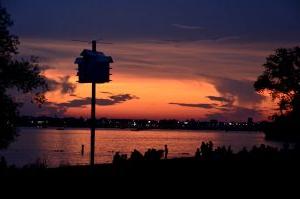 Lake Bemidji at sunset 